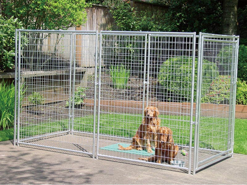 AP63-1001 dog cage